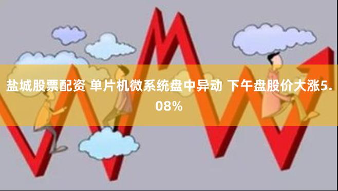 盐城股票配资 单片机微系统盘中异动 下午盘股价大涨5.08%