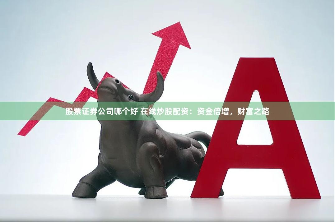 股票证券公司哪个好 在线炒股配资：资金倍增，财富之路