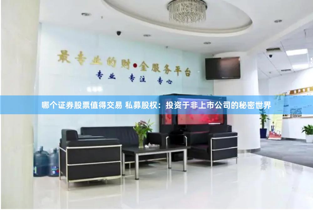 哪个证券股票值得交易 私募股权：投资于非上市公司的秘密世界